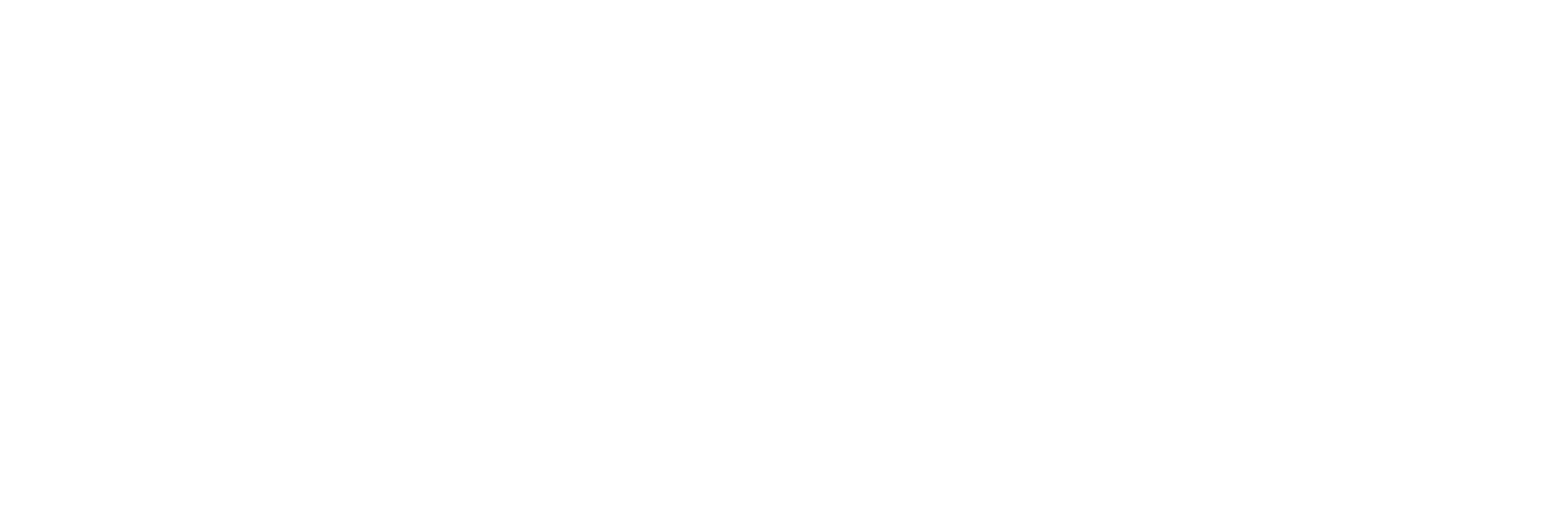 Nordic Logo